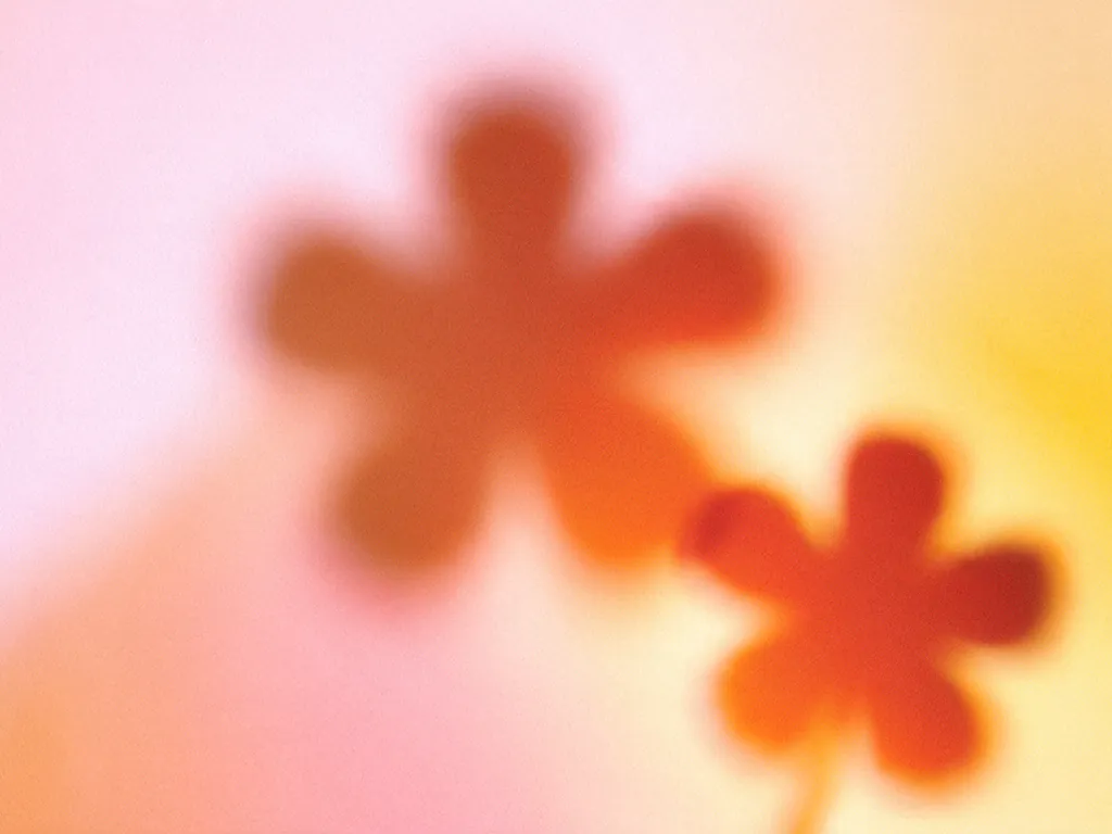 Soft pink and orange flower shapes on a warm gradient